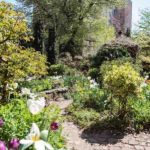 6BC Botanical Garden