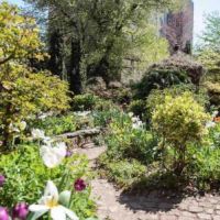 6BC Botanical Garden ico