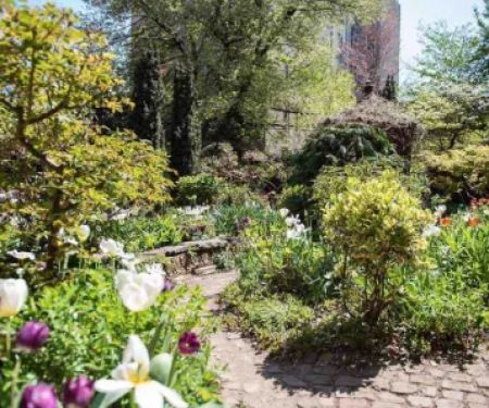 6BC Botanical Garden