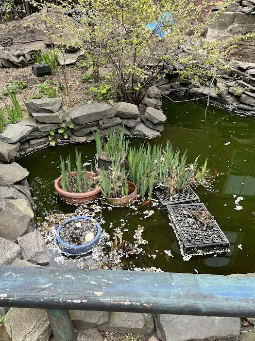 6BC Botanical Garden Picture 10