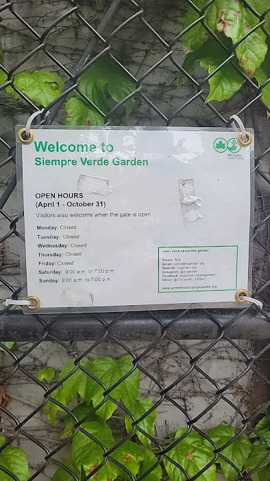 Siempre Verde Garden Picture 7