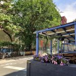 Clinton Community Garden (LES)