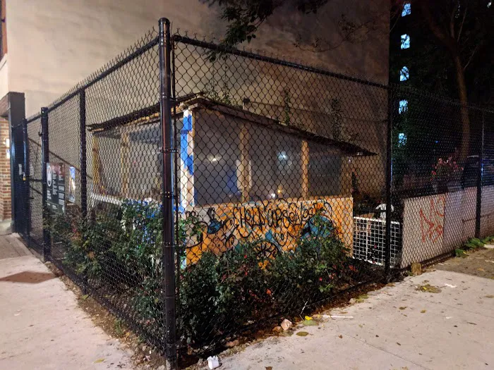 Clinton Community Garden (LES) Picture 7