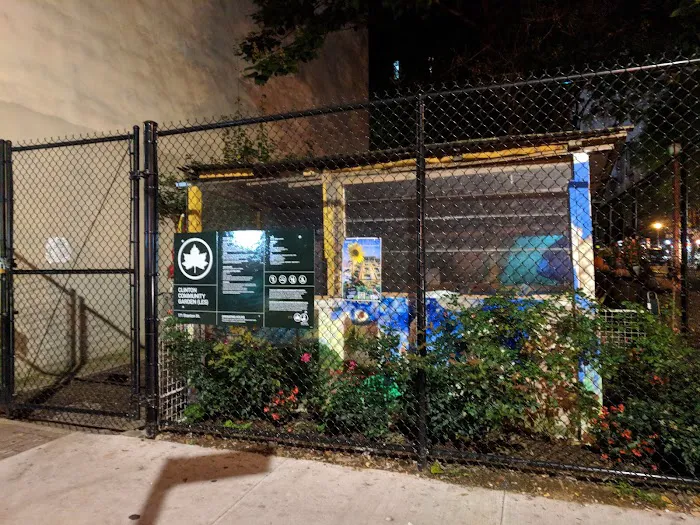 Clinton Community Garden (LES) Picture 8