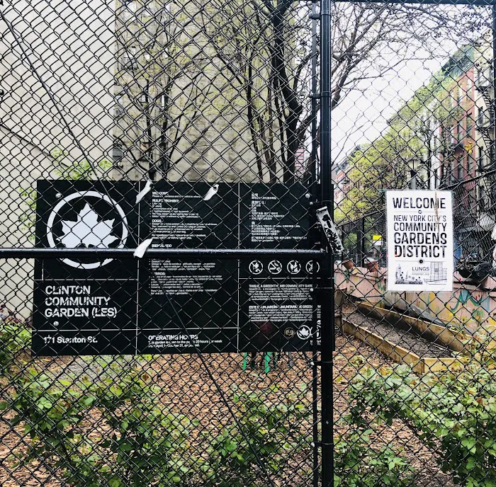 Clinton Community Garden (LES) Picture 10