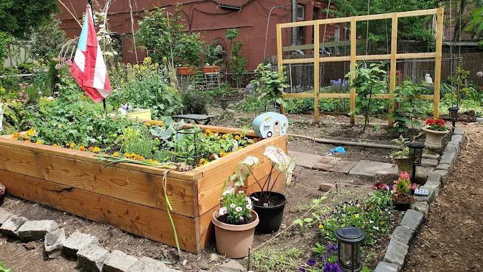 9th Street Community Garden Picture 3