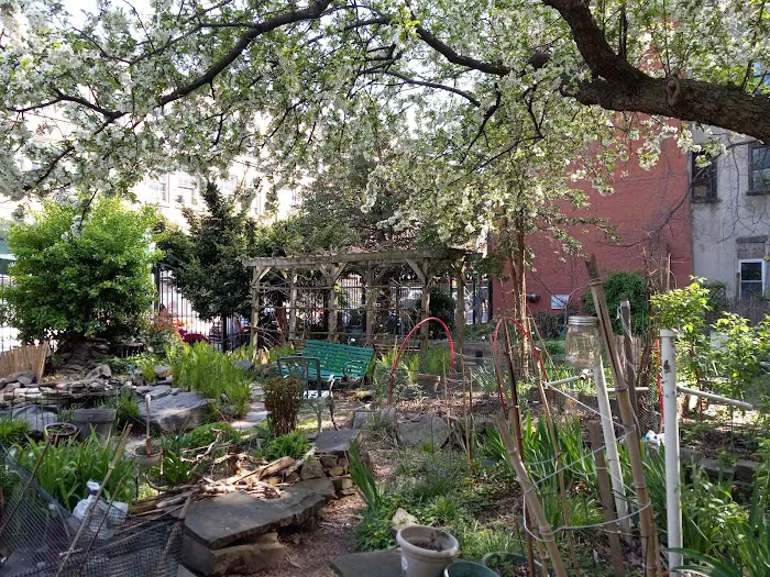 6th Street & Avenue B Community Garden Picture 1
