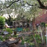 6th Street & Avenue B Community Garden