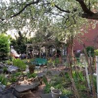 6th Street & Avenue B Community Garden ico