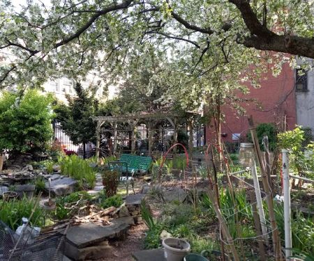 6th Street & Avenue B Community Garden