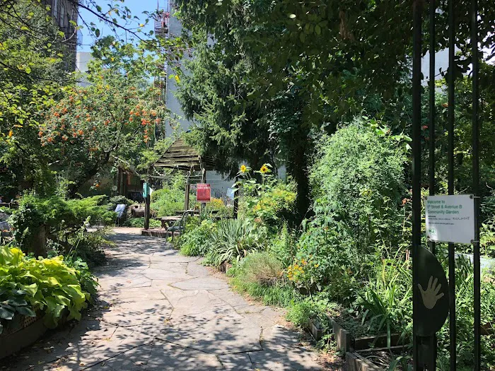 6th Street & Avenue B Community Garden Picture 9