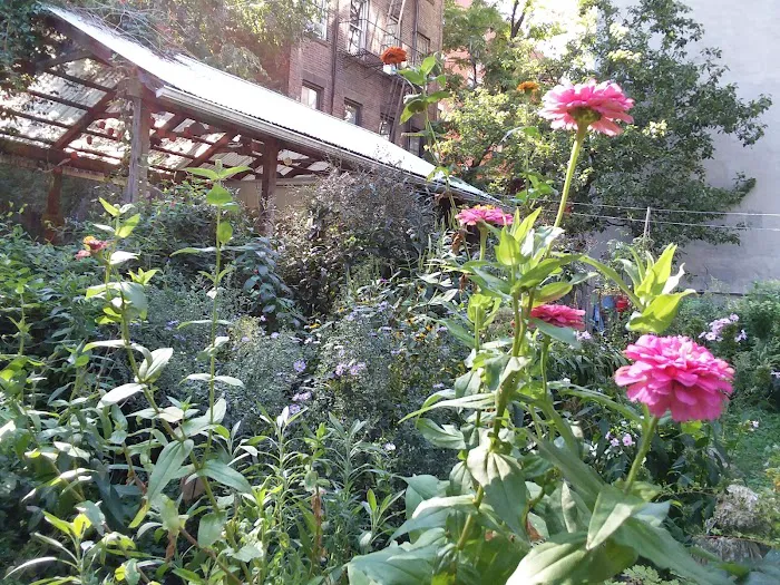 6th Street & Avenue B Community Garden Picture 7