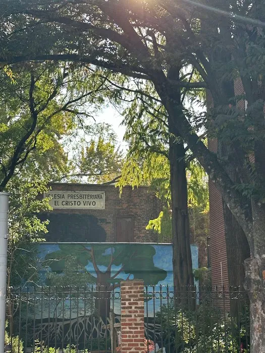 Hoyt Street Garden Picture 4