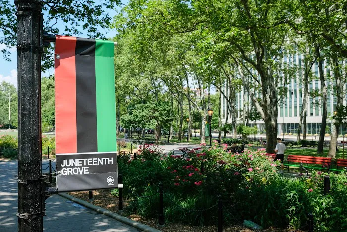 Juneteenth Grove Picture 1