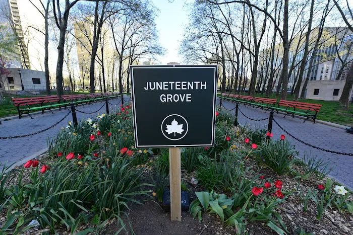 Juneteenth Grove Picture 7
