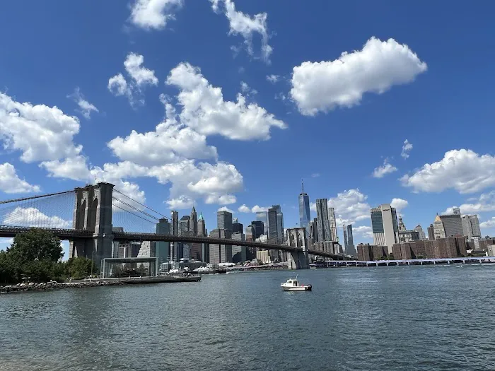Brooklyn Bridge Park Dog Run Picture 2
