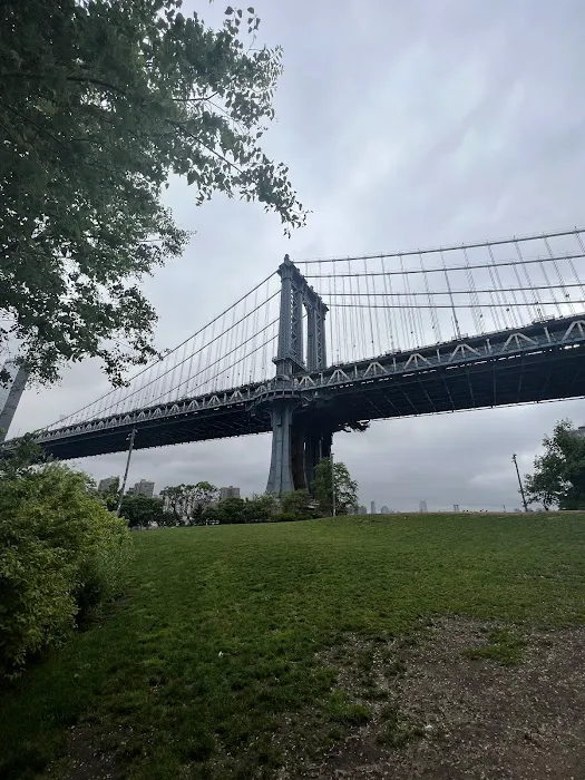 Brooklyn Bridge Park Dog Run Picture 8