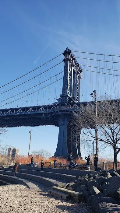Brooklyn Bridge Park Dog Run Picture 9