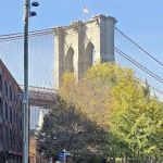 Dumbo Boardwalk