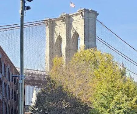 Dumbo Boardwalk