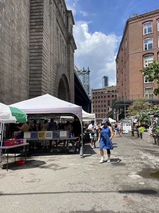 Dumbo Park Picture 10