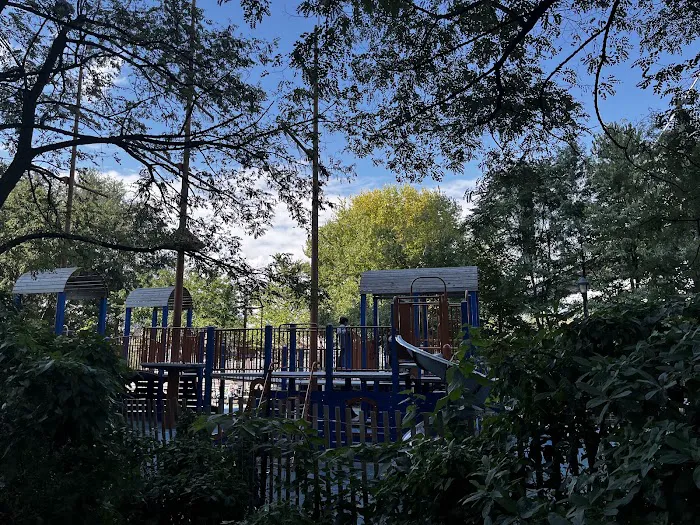 Dumbo Park Picture 8