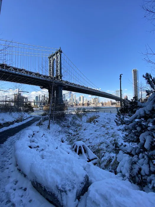 John Street Tidal Marsh Picture 1