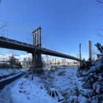 John Street Tidal Marsh