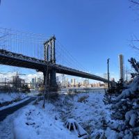 John Street Tidal Marsh ico