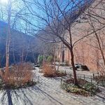 The Max Family Garden