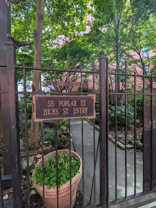 Poplar Street Community Garden Picture 9