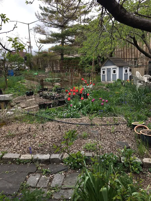 Poplar Street Community Garden Picture 10