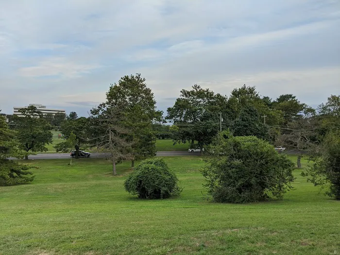 Czescik Marina Park Picture 6