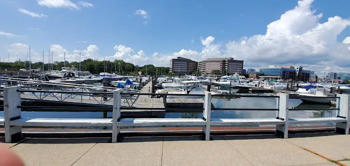 Czescik Marina Park Picture 2