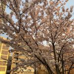 Parc Stamford