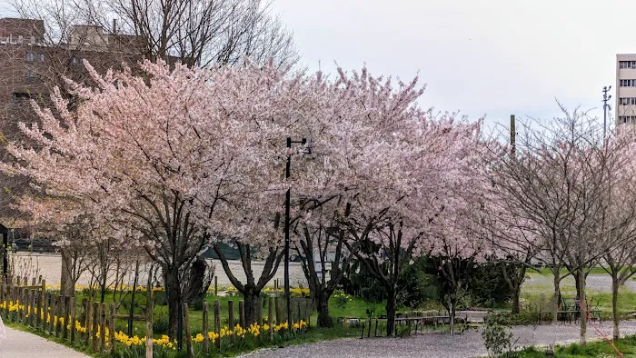 Parc Stamford Picture 2