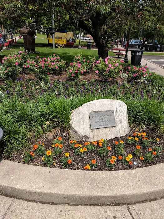 Latham Park Picture 10