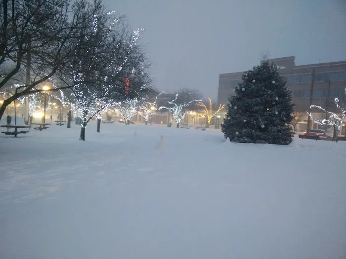 Latham Park Picture 8