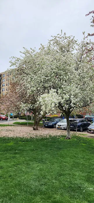 Latham Park Picture 1