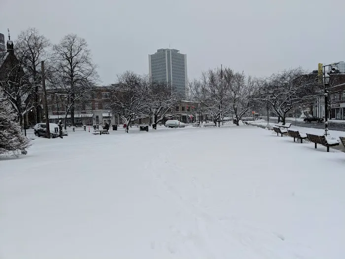 Latham Park Picture 3