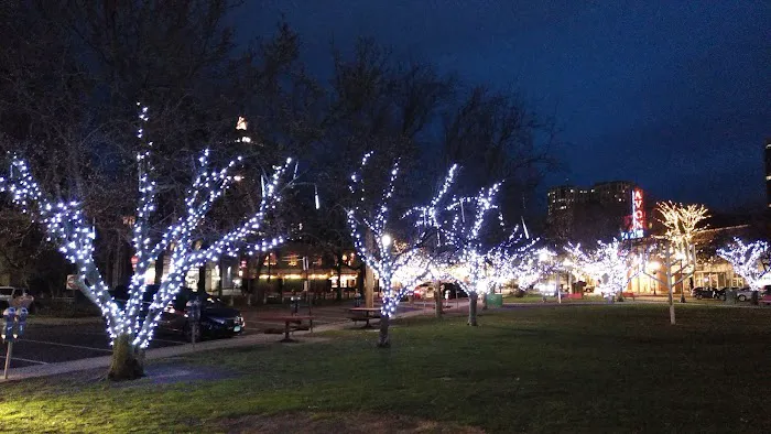 Latham Park Picture 7