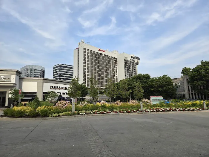 Stamford Marriott Hotel & Spa Picture 8