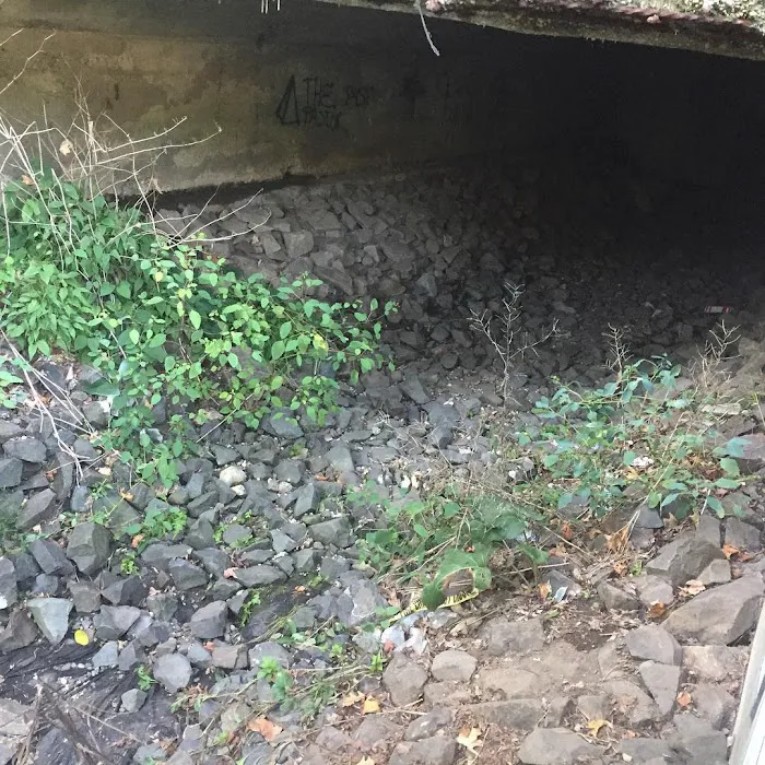 The Village Water Hole Picture 2
