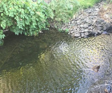 The Village Water Hole