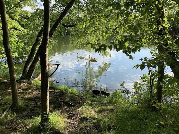 Olson Woods Picture 4