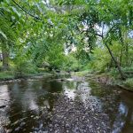 East Park