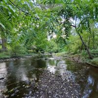 East Park ico