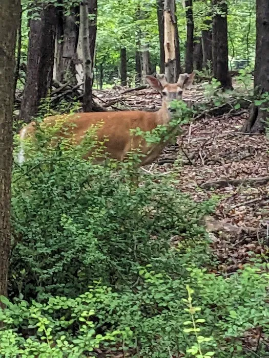 The 16 Acres Park Picture 7