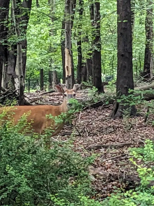The 16 Acres Park Picture 8