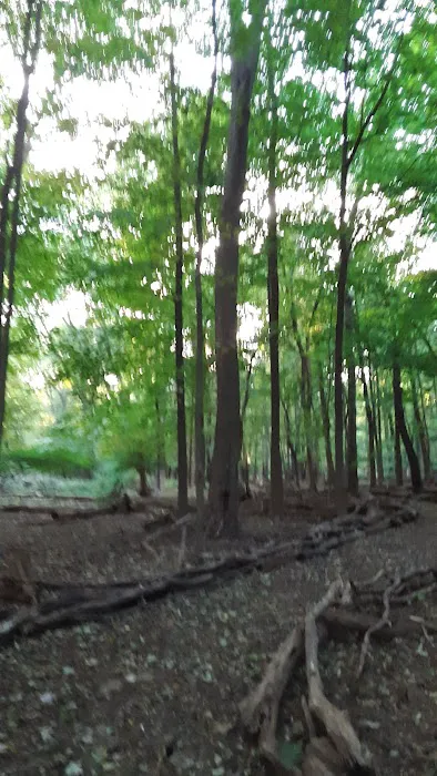 The 16 Acres Park Picture 9